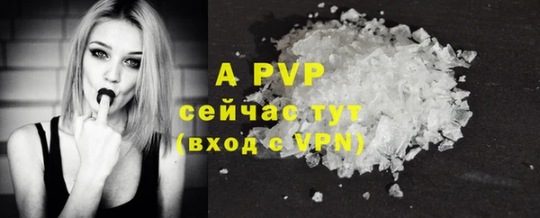 ГАЛЛЮЦИНОГЕННЫЕ ГРИБЫ Няндома
