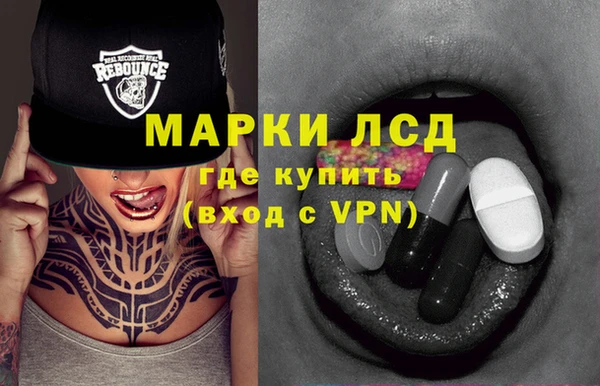 ГАЛЛЮЦИНОГЕННЫЕ ГРИБЫ Няндома